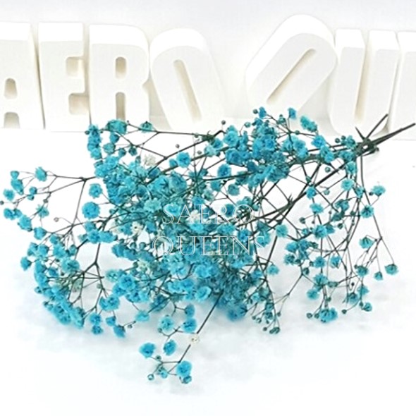 »óǰ ¼¶³×ÀÏ »óǰ ¼¶³×ÀÏ